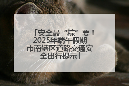 安全最“粽”要！2025年端午假期市南辖区道路交通安全出行提示