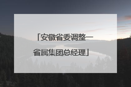 安徽省委调整一省属集团总经理