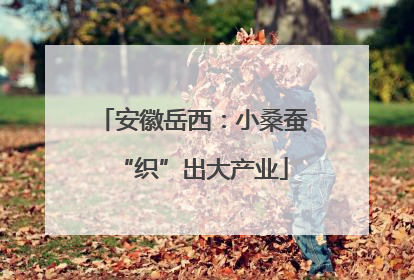 安徽岳西：小桑蚕“织”出大产业