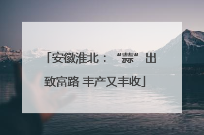 安徽淮北：“蒜”出致富路 丰产又丰收