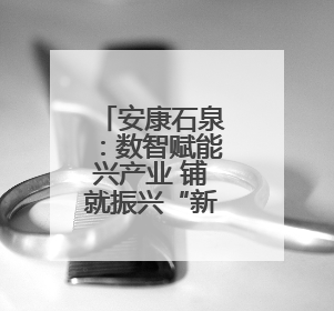 安康石泉：数智赋能兴产业 铺就振兴“新丝路”