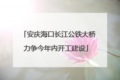 安庆海口长江公铁大桥力争今年内开工建设