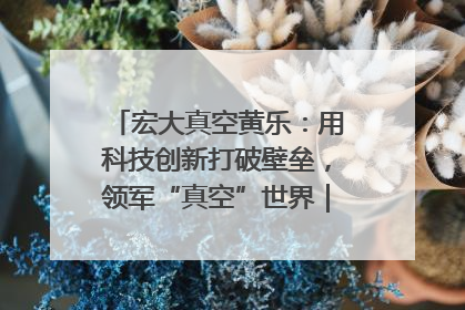 宏大真空黄乐：用科技创新打破壁垒，领军“真空”世界｜湘商，向上③