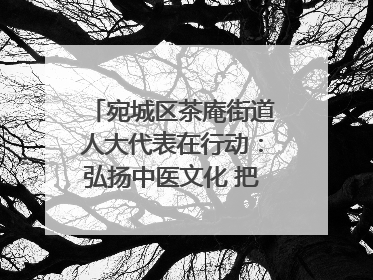 宛城区茶庵街道人大代表在行动：弘扬中医文化 把脉基层健康