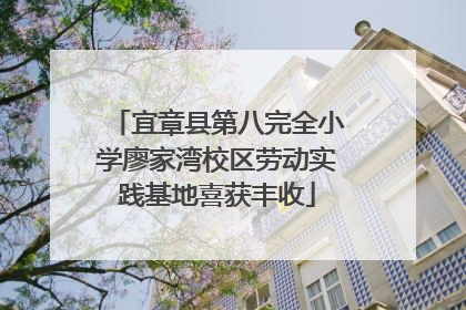 宜章县第八完全小学廖家湾校区劳动实践基地喜获丰收