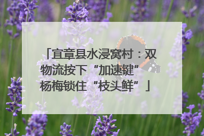 宜章县水浸窝村：双物流按下“加速键” 杨梅锁住“枝头鲜”
