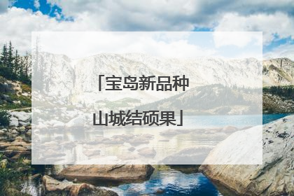宝岛新品种 山城结硕果