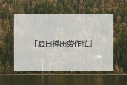 夏日梯田劳作忙