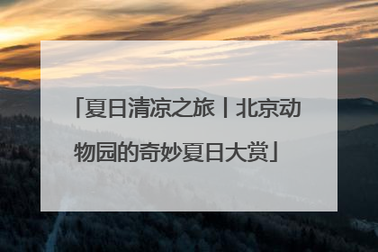 夏日清凉之旅丨北京动物园的奇妙夏日大赏