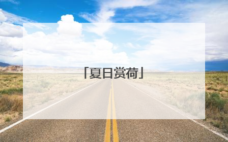 夏日赏荷