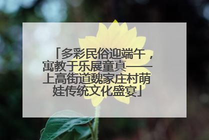 多彩民俗迎端午，寓教于乐展童真——上高街道魏家庄村萌娃传统文化盛宴
