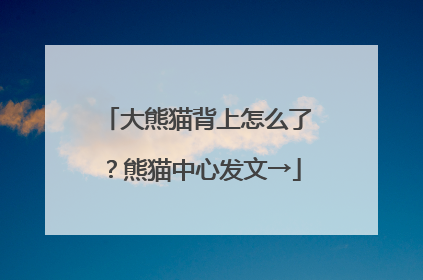 大熊猫背上怎么了？熊猫中心发文→