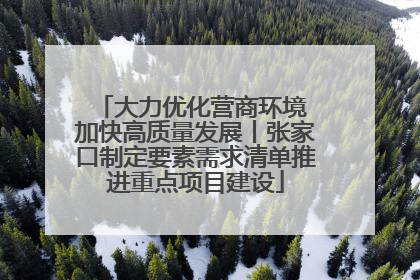 大力优化营商环境 加快高质量发展丨张家口制定要素需求清单推进重点项目建设