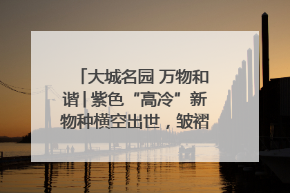 大城名园 万物和谐│紫色“高冷”新物种横空出世，皱褶叶片暗藏进化密码