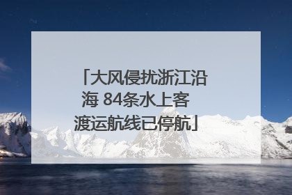 大风侵扰浙江沿海 84条水上客渡运航线已停航