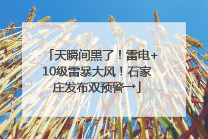 天瞬间黑了！雷电+10级雷暴大风！石家庄发布双预警→