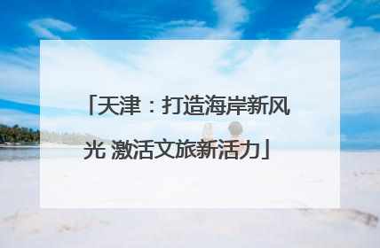 天津：打造海岸新风光 激活文旅新活力