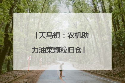 天马镇：农机助力油菜颗粒归仓