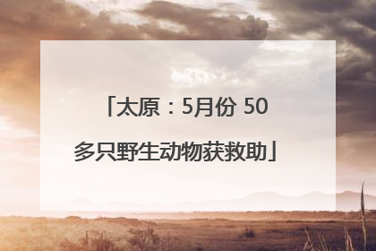 太原：5月份 50多只野生动物获救助