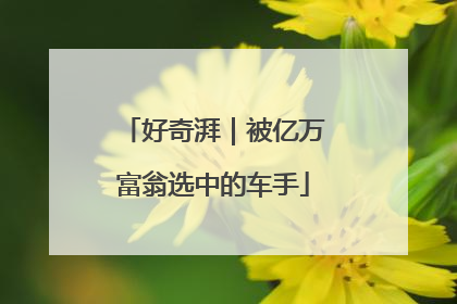 好奇湃｜被亿万富翁选中的车手