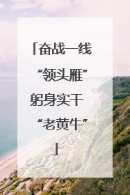 奋战一线“领头雁” 躬身实干“老黄牛”