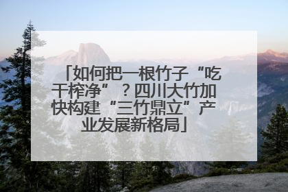 如何把一根竹子“吃干榨净”？四川大竹加快构建“三竹鼎立”产业发展新格局