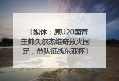 媒体：原U20国青主帅久尔杰维奇救火国足，带队征战东亚杯