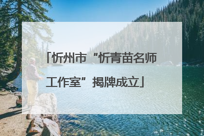 忻州市“忻青苗名师工作室”揭牌成立