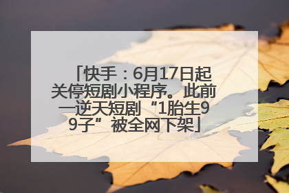 快手：6月17日起关停短剧小程序。此前一逆天短剧“1胎生99子”被全网下架