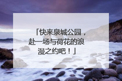 快来泉城公园，赴一场与荷花的浪漫之约吧！
