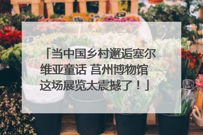 当中国乡村邂逅塞尔维亚童话 莒州博物馆这场展览太震撼了！