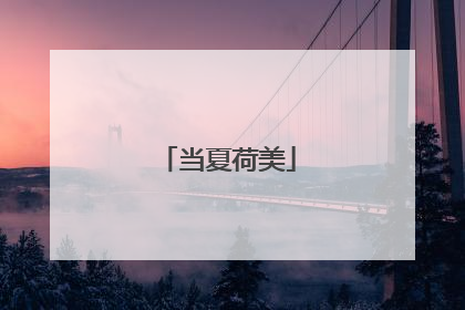当夏荷美
