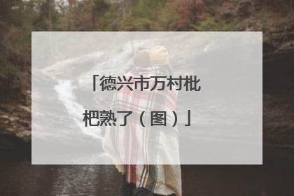 德兴市万村枇杷熟了（图）