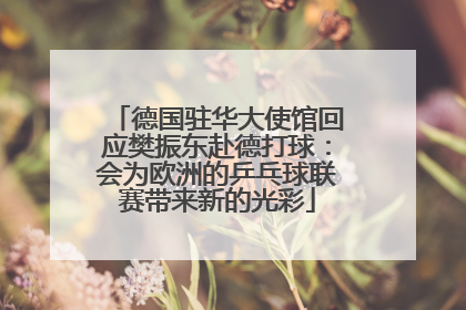 德国驻华大使馆回应樊振东赴德打球：会为欧洲的乒乓球联赛带来新的光彩