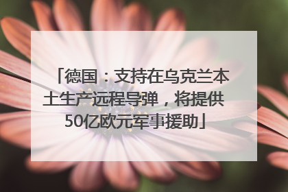 德国：支持在乌克兰本土生产远程导弹，将提供50亿欧元军事援助