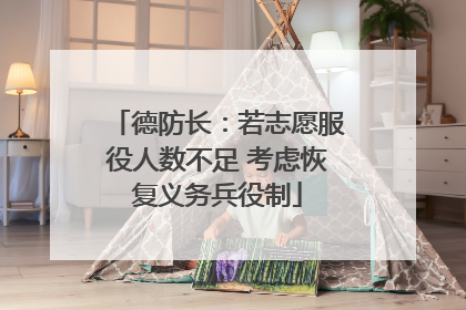 德防长：若志愿服役人数不足 考虑恢复义务兵役制