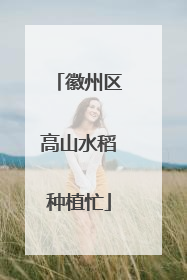 徽州区高山水稻种植忙