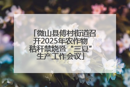 微山县傅村街道召开2025年农作物秸秆禁烧暨“三夏”生产工作会议