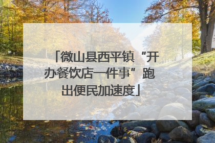 微山县西平镇“开办餐饮店一件事”跑出便民加速度