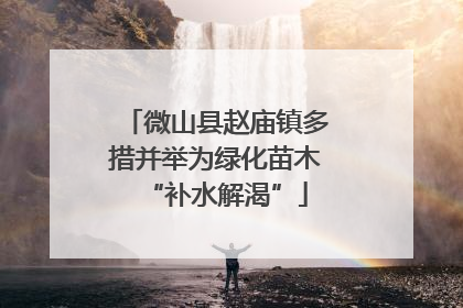 微山县赵庙镇多措并举为绿化苗木“补水解渴”