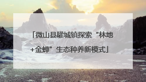 微山县驩城镇探索“林地+金蝉”生态种养新模式