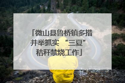 微山县鲁桥镇多措并举抓实 “三夏” 秸秆禁烧工作