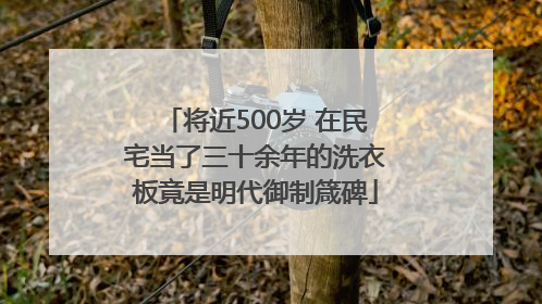 将近500岁 在民宅当了三十余年的洗衣板竟是明代御制箴碑