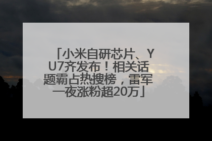小米自研芯片、YU7齐发布！相关话题霸占热搜榜，雷军一夜涨粉超20万