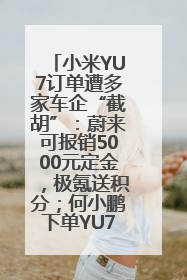 小米YU7订单遭多家车企“截胡”：蔚来可报销5000元定金，极氪送积分；何小鹏下单YU7，喊话雷军早点交付