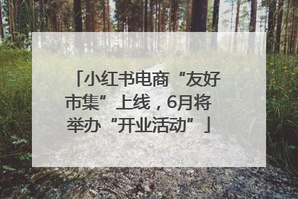 小红书电商“友好市集”上线，6月将举办“开业活动”