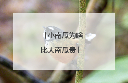小南瓜为啥比大南瓜贵