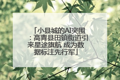 小县城的AI突围：高青县田镇街道引来星途旗航 成为数据标注先行军