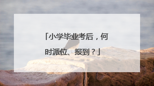 小学毕业考后，何时派位、报到？