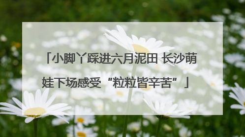 小脚丫踩进六月泥田 长沙萌娃下场感受“粒粒皆辛苦”